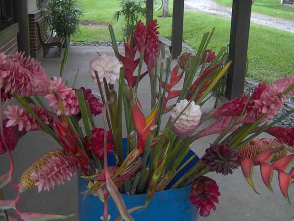 Tour agraire au Guatemala