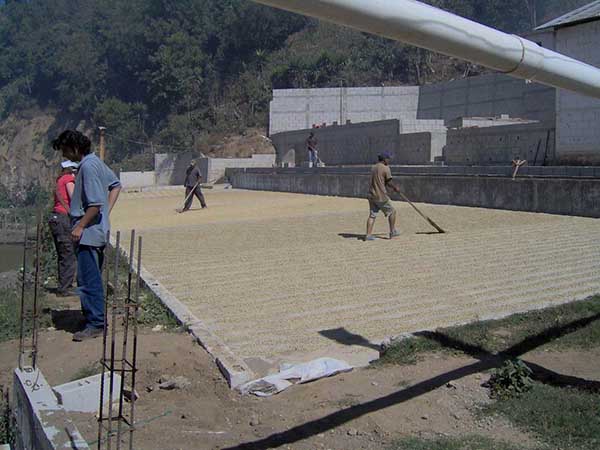 Coffee Tours Guatemala